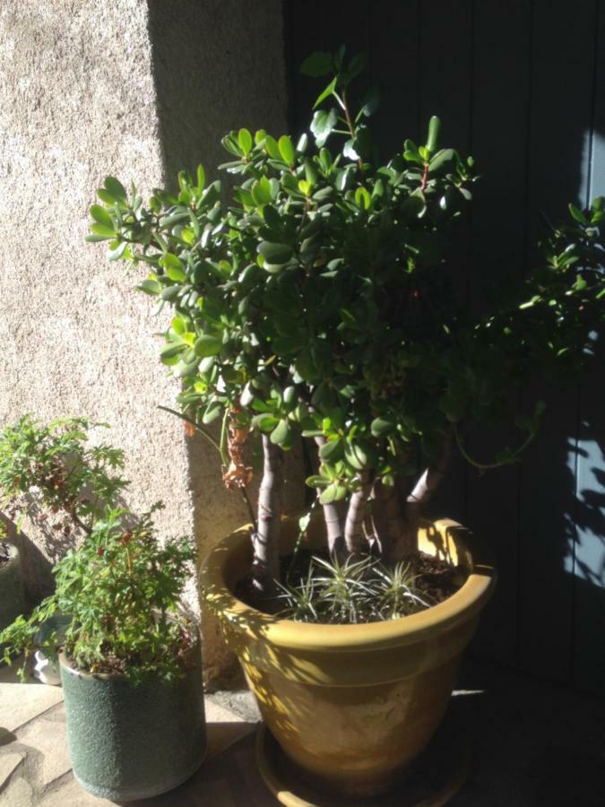 2 Appartements Calmes Frejus Exterior photo