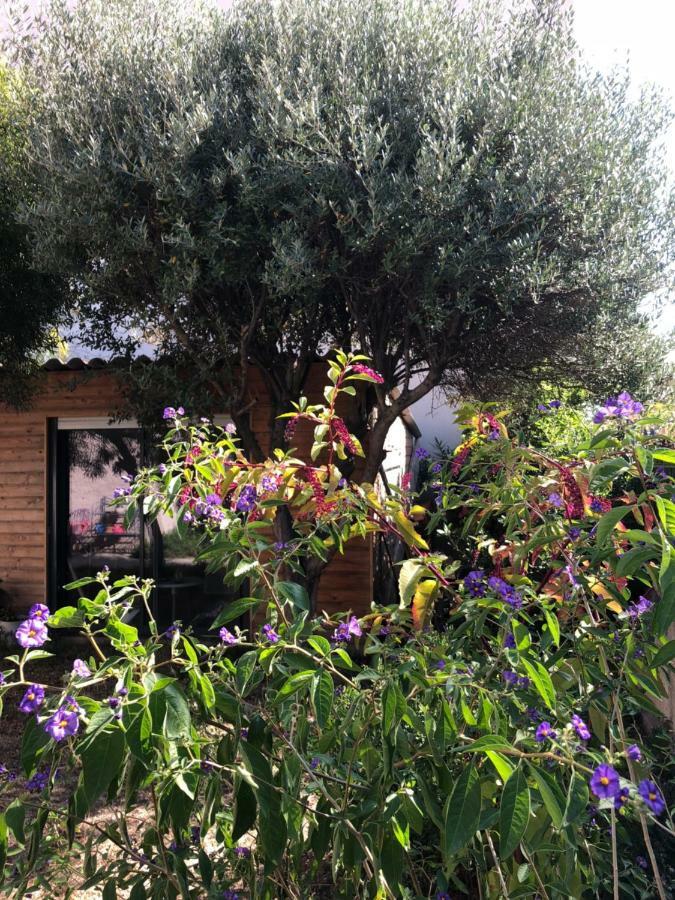 2 Appartements Calmes Frejus Exterior photo